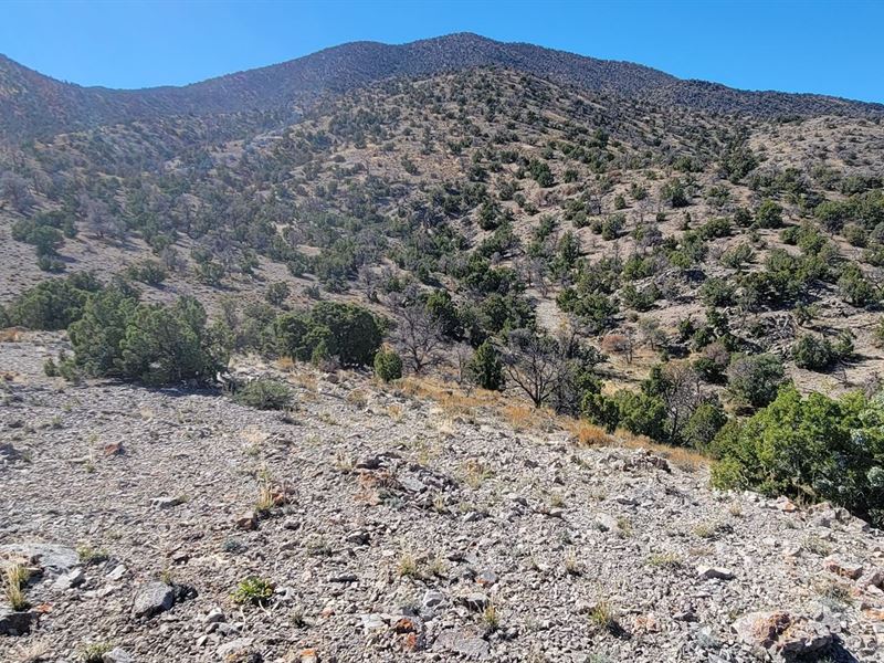 Calling All Outdoor Sportsmen : Montello : Elko County : Nevada