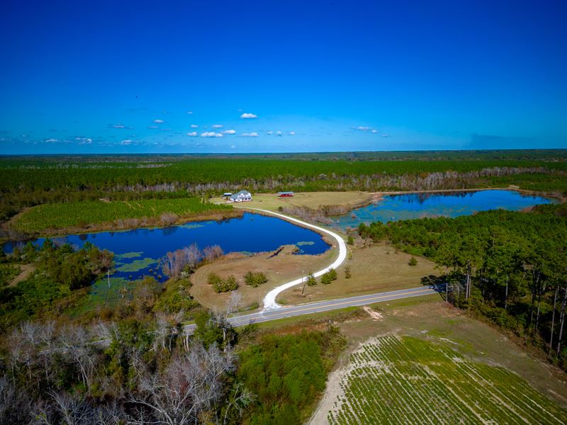 230 Acres of Idyllic Country Estate : Wray : Irwin County : Georgia