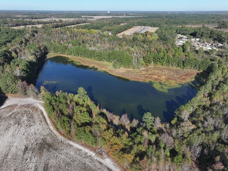 Industrial, Timber or Hunting Land : Maxton : Robeson County : North Carolina