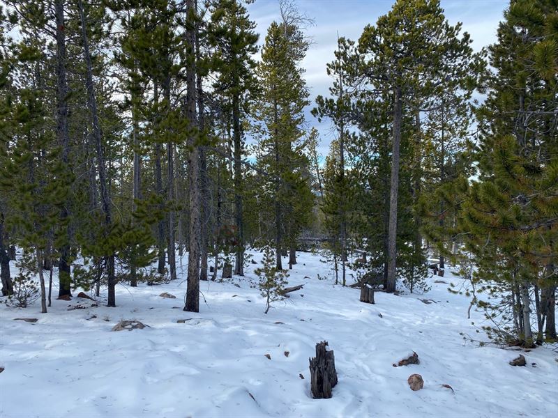 Woodland Lode : Butte : Silver Bow County : Montana