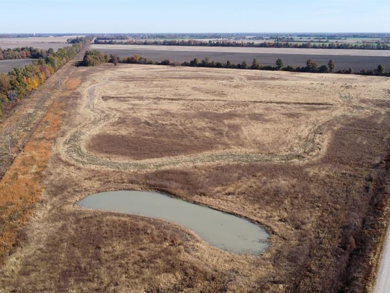 53 Acres of Waterfowl Hunting Gr : East Prairie : New Madrid County : Missouri