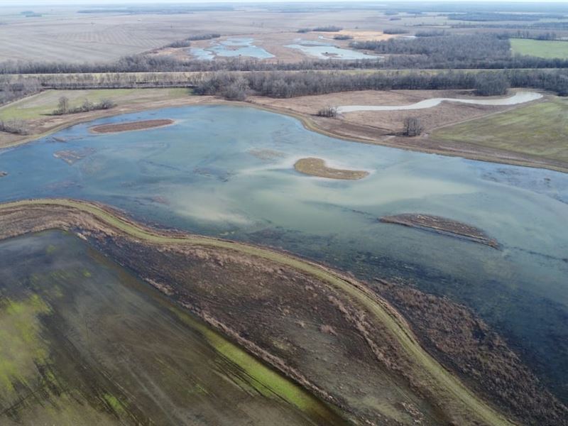 438 Acres of Waterfowl Hunting : East Prairie : New Madrid County : Missouri