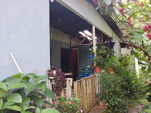 12 Acre Estate : Pacayitas : Costa Rica