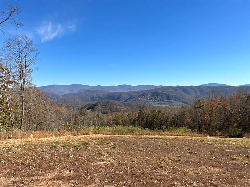 Land Auction Buchanan, VA : Buchanan : Botetourt County : Virginia