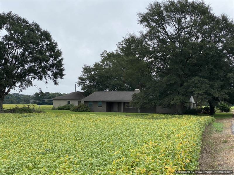 Sportsmans Paradise, 277+/- Acres : Monticello : Lawrence County : Mississippi