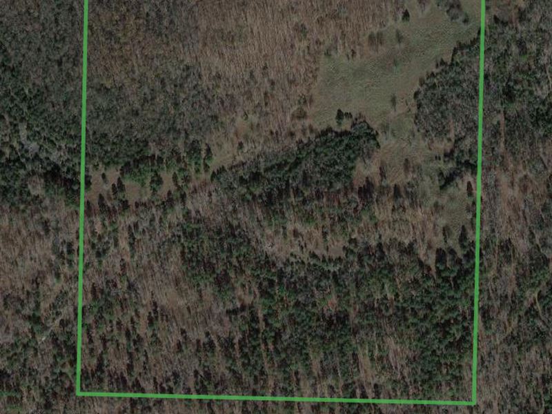 60 Acres, Hunting Land, Cave Cit : Cave City : Independence County : Arkansas