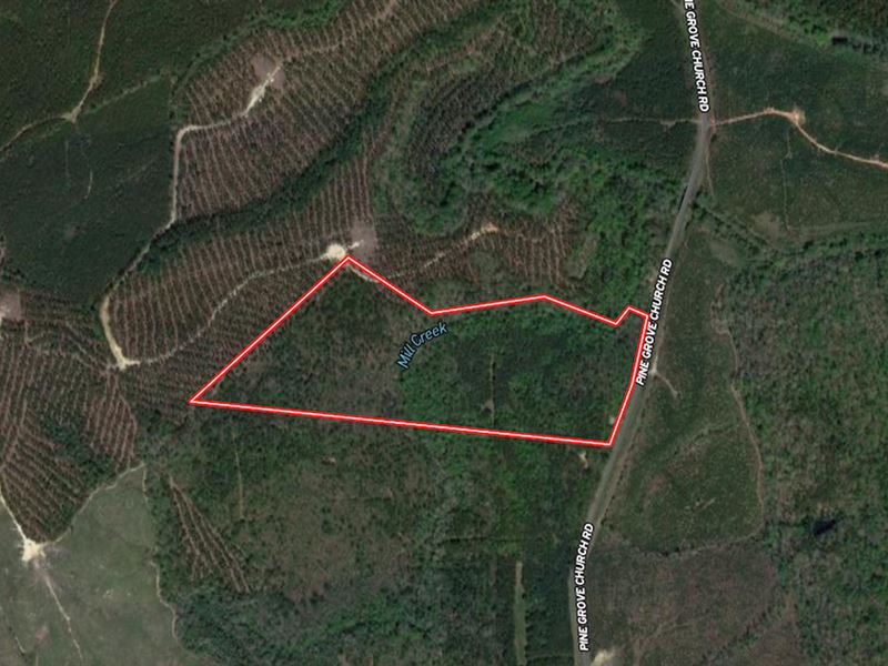 36.71 Acres of Re : Eagle Springs : Moore County : North Carolina