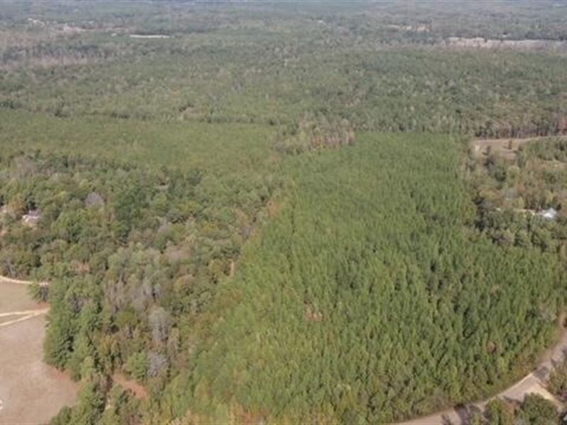 104 Acres for Sale in Wesson, MS : Wesson : Copiah County : Mississippi