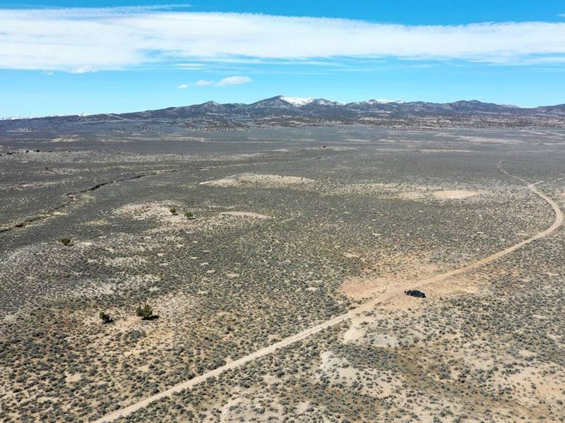 Claim it Before Someone Else Does : Elko : Elko County : Nevada