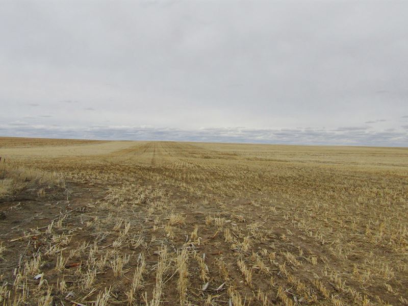 Banner County South Farm : Harrisburg : Banner County : Nebraska