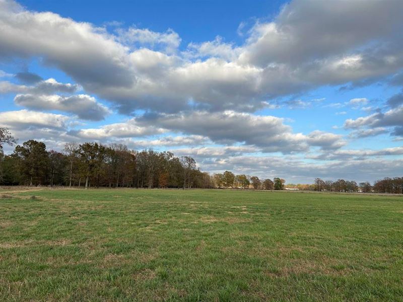 Hwy 64 Hobby Farm : Beebe : White County : Arkansas