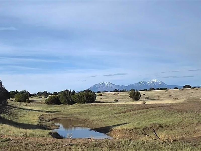 Lot 10 Twin Lakes Ranches, Walsenbu : Walsenburg : Huerfano County : Colorado
