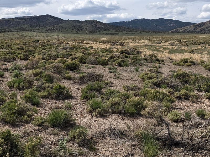 Off Grid & Recreation Land : Scadlock Rd : Elko County : Nevada
