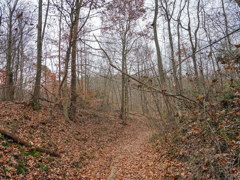St Rt 554 32 : Cheshire : Gallia County : Ohio