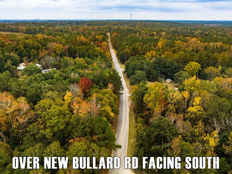 19.29 Acre Countryside Tract in GA : Dry Branch : Twiggs County : Georgia