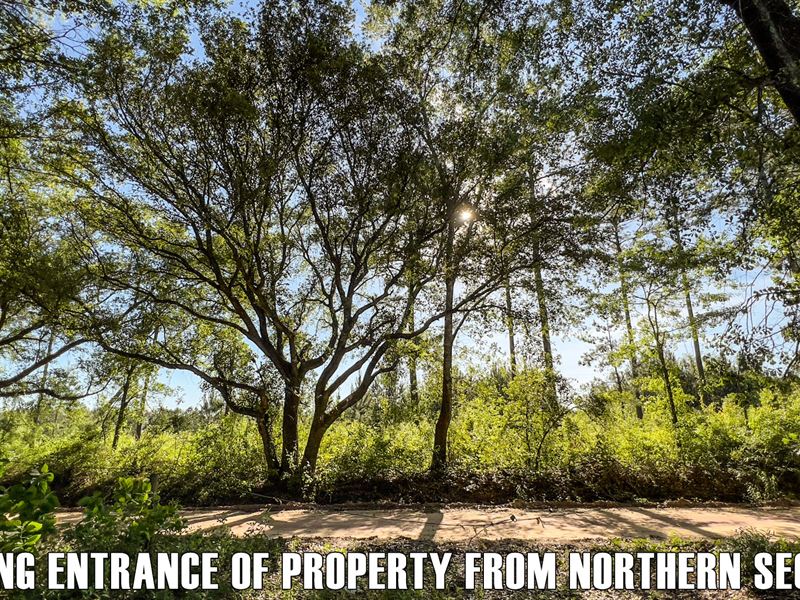 47 Acres in Rural Southern Georgia : Bainbridge : Decatur County : Georgia
