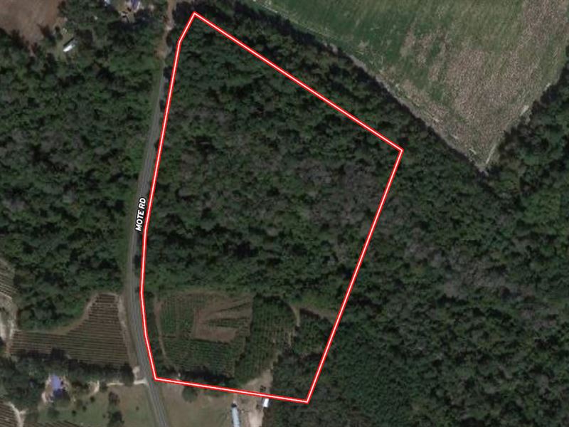 15.65 Acres of Re : Harrells : Bladen County : North Carolina