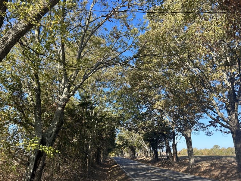 18.5 Acres East in Pelahatchie : Pelahatchie : Rankin County : Mississippi