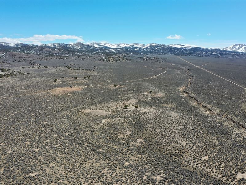 10 Ac in Elko County Only $500 Down : Elko : Elko County : Nevada