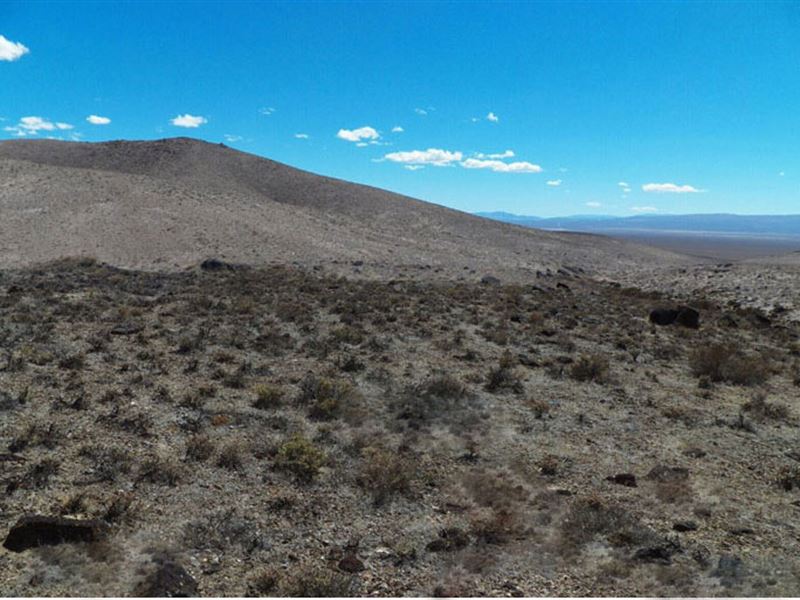 Foothills Of The Trinity Mountains : Lovelock : Pershing County : Nevada