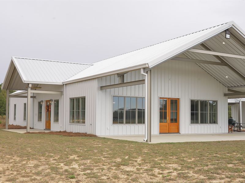 Sweet Oaks Plantation 130 Ac : Newton : Houston County : Alabama