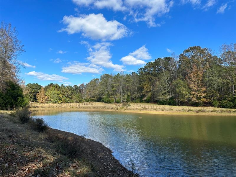 15 Ac. Lee County, Pond : Opelika : Lee County : Alabama