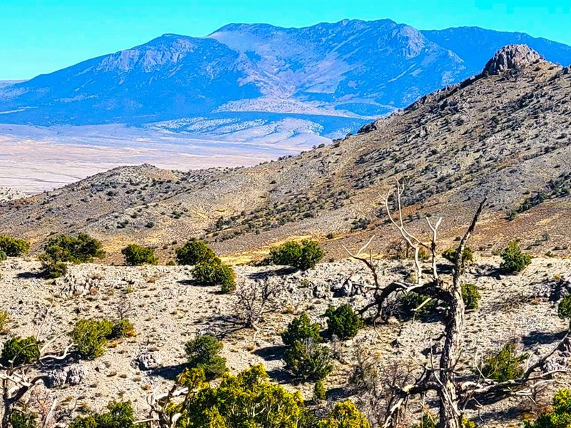 Hunting Land in The Desert Mountain : Montello : Elko County : Nevada