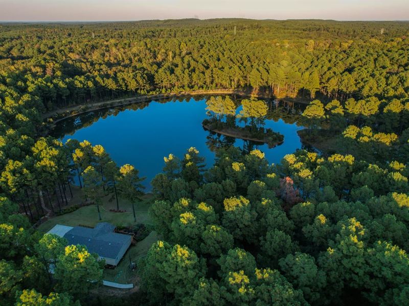 Hilltop Farm : Hallsville : Harrison County : Texas
