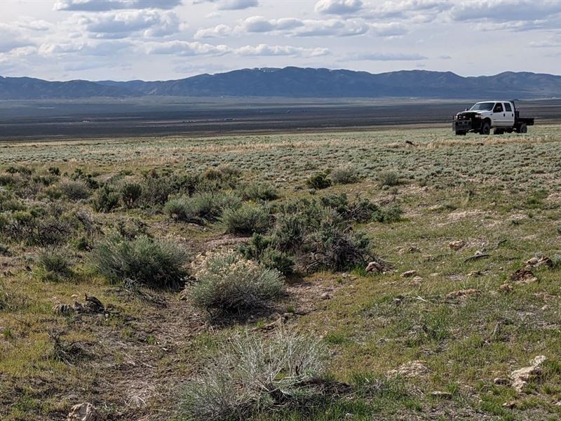Montello Retreat : Montello : Elko County : Nevada