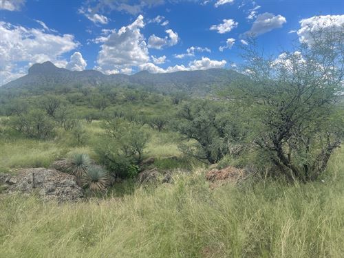 Amazing Salero Ranch Opportunity : Rio Rico : Santa Cruz County : Arizona