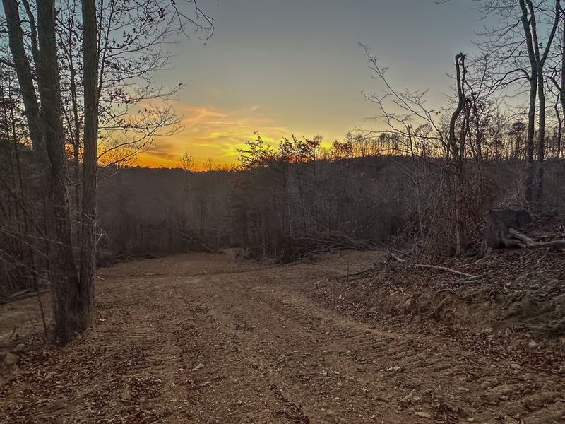 Gallia County, Ohio Land for Sale : Patriot : Gallia County : Ohio