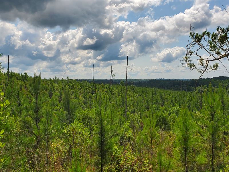 Outstanding Lee County Land : Auburn : Lee County : Alabama