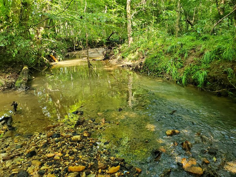 Hunting Homesites Timber Investment : Auburn : Lee County : Alabama
