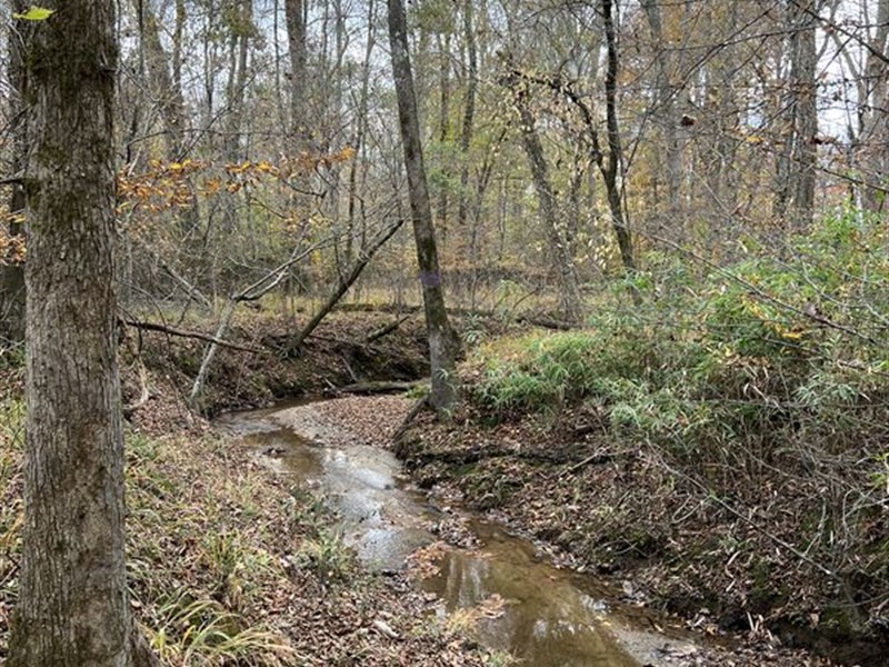 Hancock County Retreat : Sparta : Hancock County : Georgia