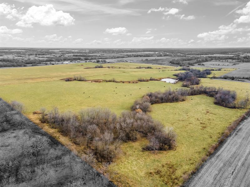 143 Acre Cattle Ranch : Leeton : Johnson County : Missouri
