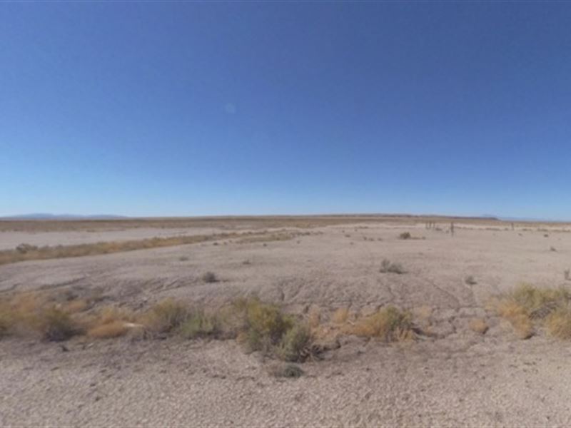 Investing Wisely on Delta, Utah : Delta : Millard County : Utah
