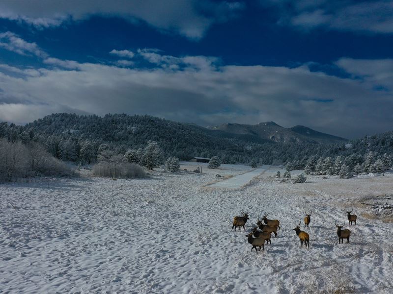 Elk Meadow Ranch : Allenspark : Larimer County : Colorado