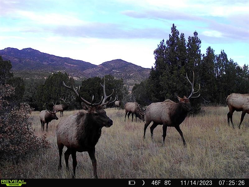 Sugarloaf Mountain Ranch : Beulah : Pueblo County : Colorado