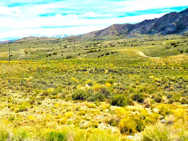 Cowboy Life You've Been Dreaming of : Montello : Elko County : Nevada