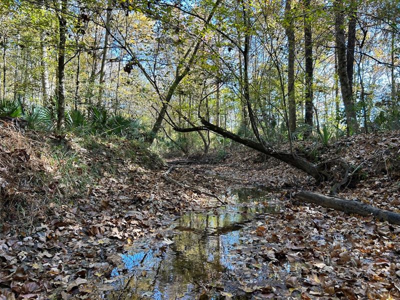Great Hunting & Investment : Toomsboro : Wilkinson County : Georgia