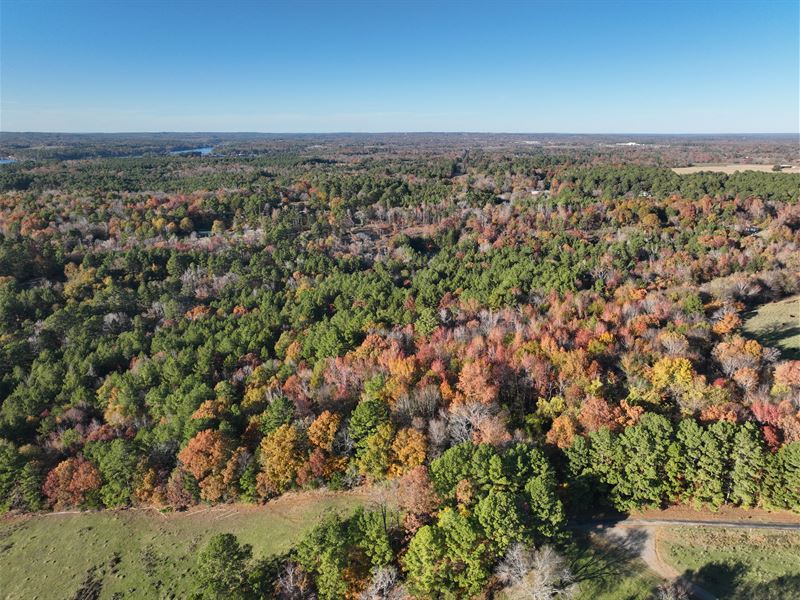 13.99 Acres in Cherokee County, TX : Jacksonville : Cherokee County : Texas
