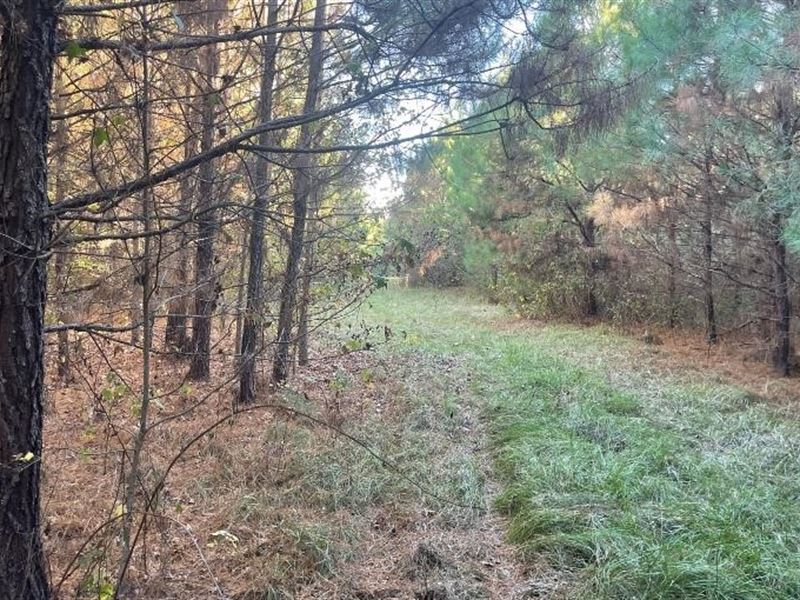 156 Acres in Lauderdale County : Collinsville : Lauderdale County : Mississippi