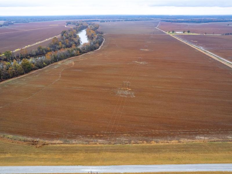 The Wyles Cotton Farm : Widener : Saint Francis County : Arkansas
