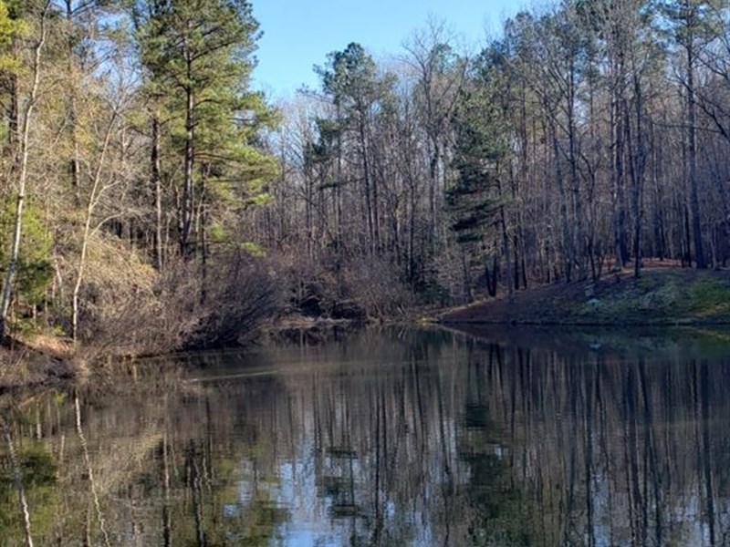 Turn-Key Sportsman's Retreat : Winnsboro : Fairfield County : South Carolina