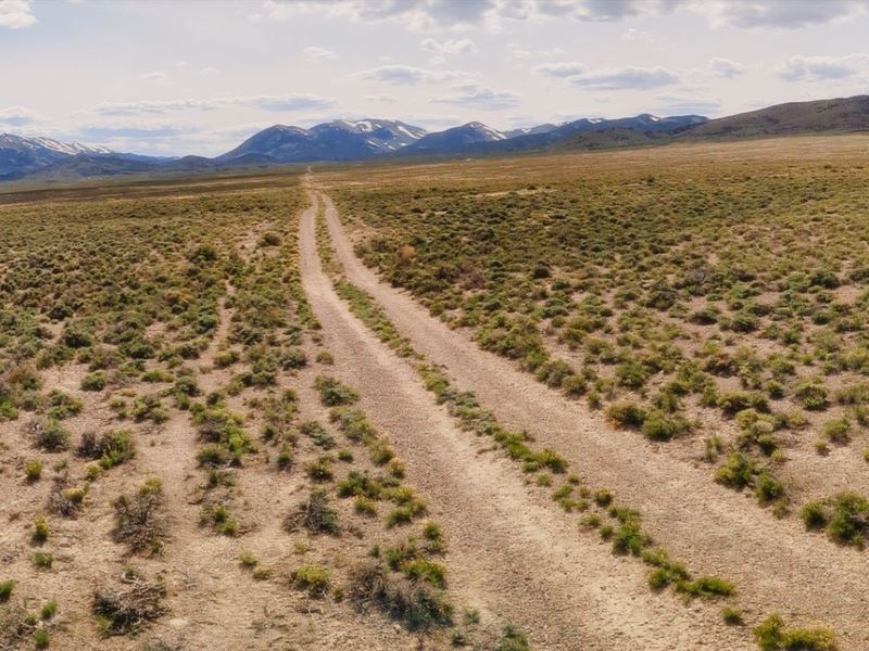 Calling All Outdoor Sportsmen : Montello : Elko County : Nevada
