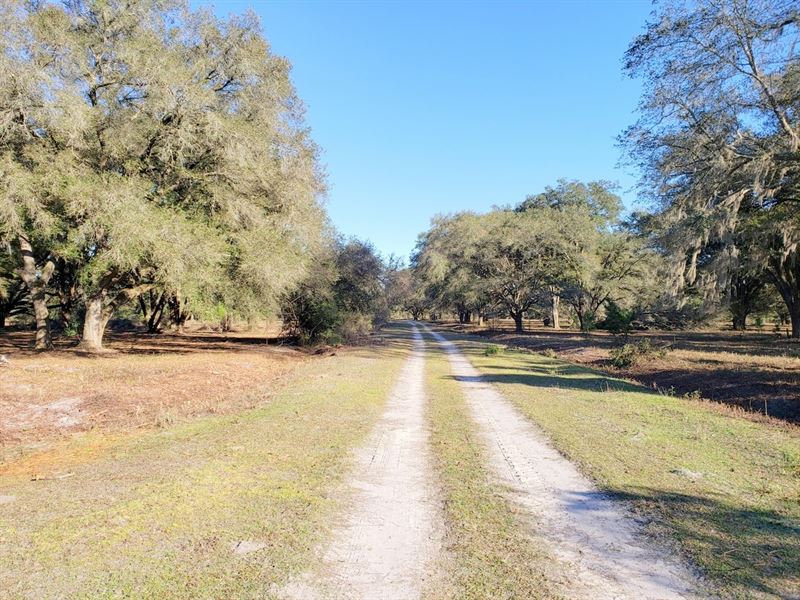 Hokkolen Lot 1 : Fort Mc Coy : Marion County : Florida