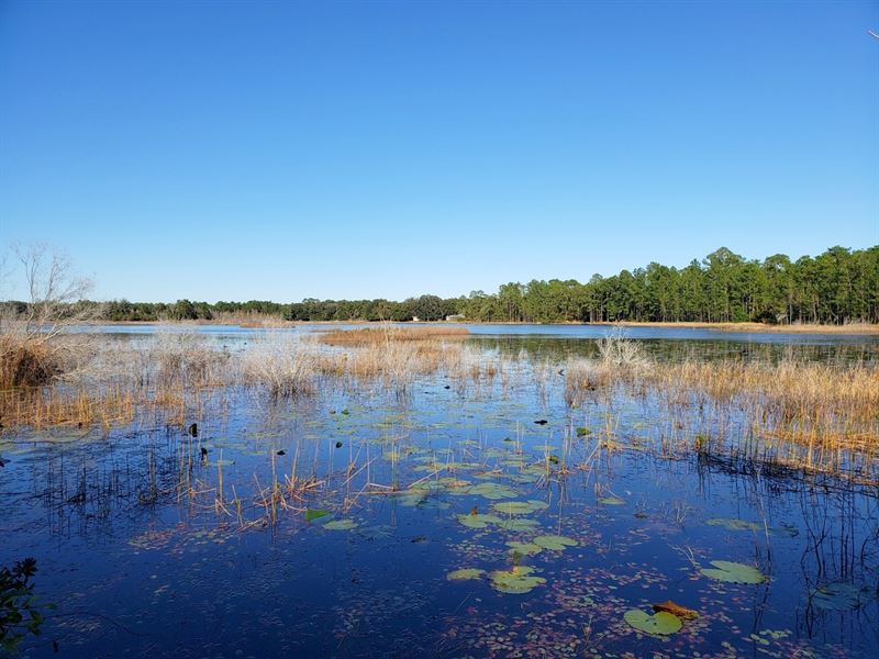Hokkolen Lot 3 : Fort Mc Coy : Marion County : Florida