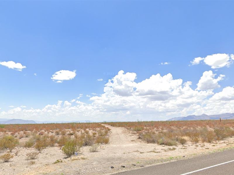 West Texas Paradise : Presidio : Presidio County : Texas