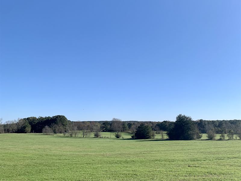 Old Edwards Dairy : Union Point : Taliaferro County : Georgia