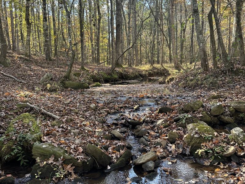 20 Lee Co. Pasture&Creek : Opelika : Lee County : Alabama